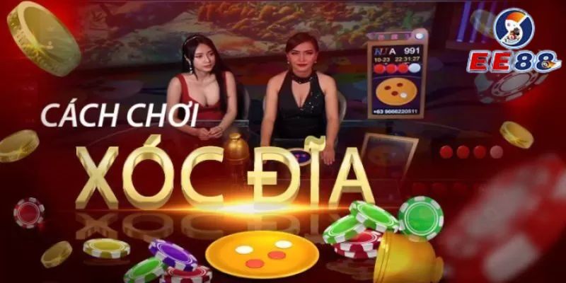 Bạn có thể cược xóc đĩa qua nhiều nền tảng khác nhau