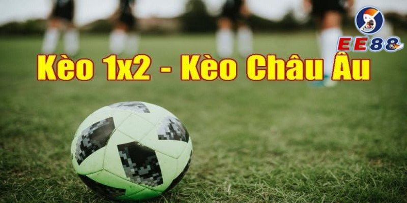 Những lý do tân thủ nên trải nghiệm kèo châu Âu tại EE88